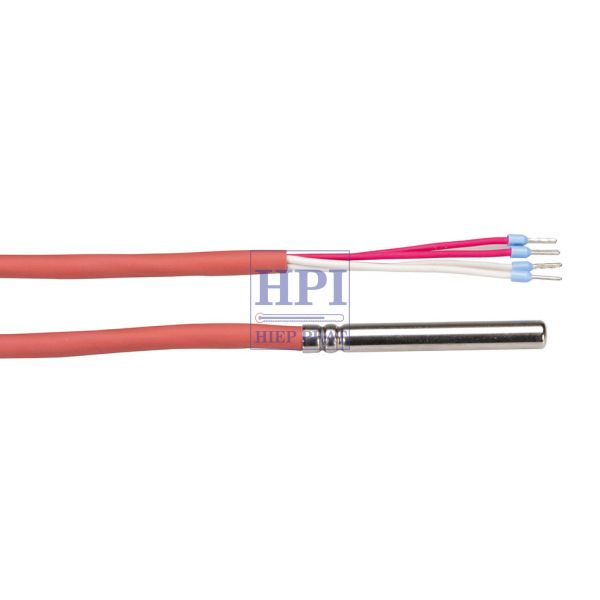Đầu dò nhiệt độ Pt100 cho RMS - T30-0003/6